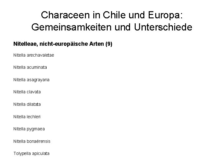 Characeen in Chile und Europa: Gemeinsamkeiten und Unterschiede Nitelleae, nicht-europäische Arten (9) Nitella arechavaletae