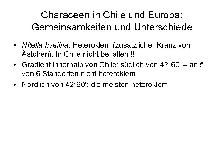 Characeen in Chile und Europa: Gemeinsamkeiten und Unterschiede • Nitella hyalina: Heteroklem (zusätzlicher Kranz