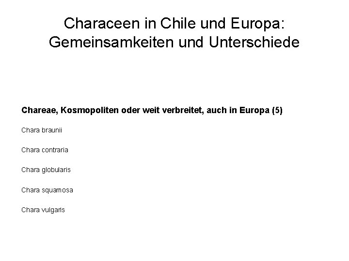 Characeen in Chile und Europa: Gemeinsamkeiten und Unterschiede Chareae, Kosmopoliten oder weit verbreitet, auch