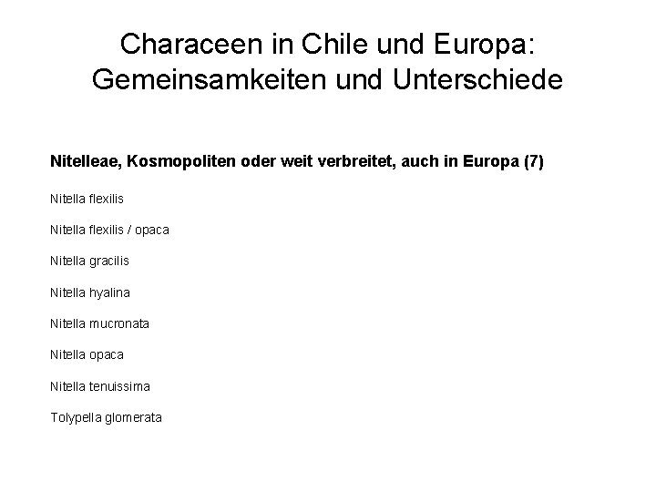 Characeen in Chile und Europa: Gemeinsamkeiten und Unterschiede Nitelleae, Kosmopoliten oder weit verbreitet, auch