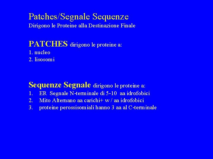 Patches/Segnale Sequenze Dirigono le Proteine alla Destinazione Finale PATCHES dirigono le proteine a: 1.
