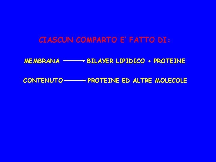 CIASCUN COMPARTO E’ FATTO DI: MEMBRANA BILAYER LIPIDICO + PROTEINE CONTENUTO PROTEINE ED ALTRE