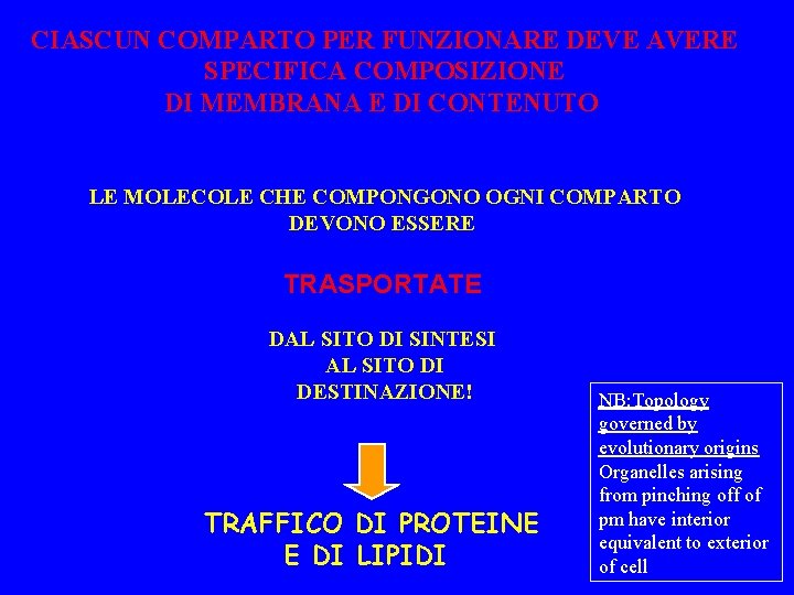 CIASCUN COMPARTO PER FUNZIONARE DEVE AVERE SPECIFICA COMPOSIZIONE DI MEMBRANA E DI CONTENUTO LE