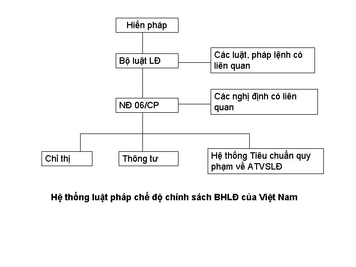 Hiến pháp Chỉ thị Bộ luật LĐ Các luật, pháp lệnh có liên quan