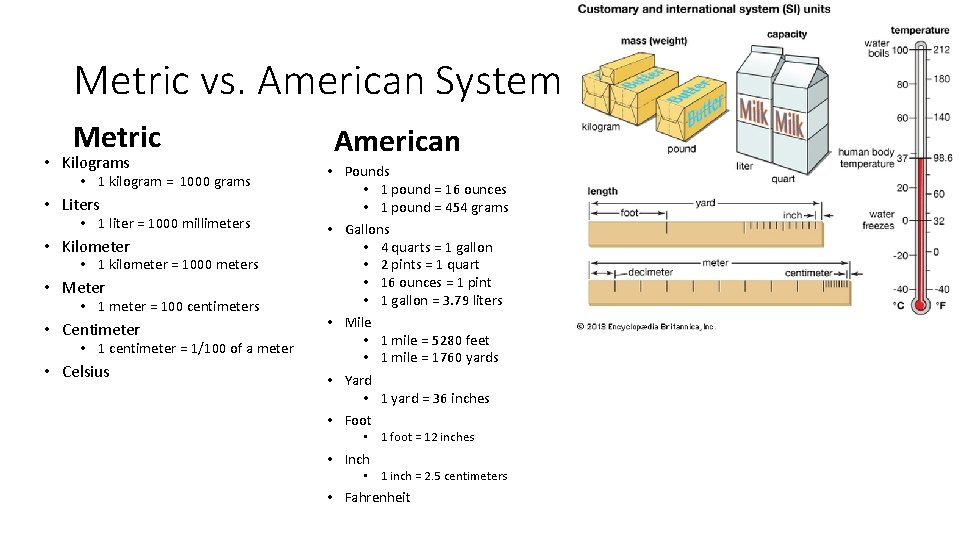 Metric vs. American System Metric • Kilograms • 1 kilogram = 1000 grams • Metric vs. American System Metric • Kilograms • 1 kilogram = 1000 grams •