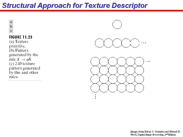 Structural Approach for Texture Descriptor (Images from Rafael C. Gonzalez and Richard E. Wood,