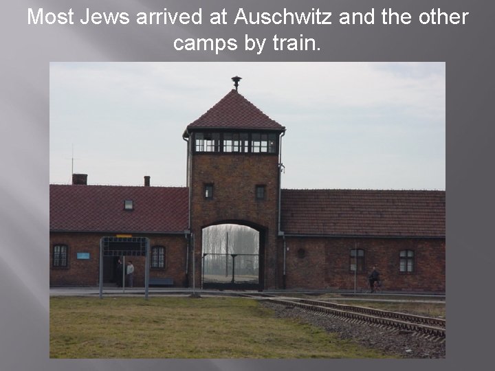 Most Jews arrived at Auschwitz and the other camps by train. 