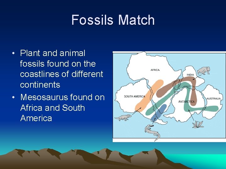 Fossils Match • Plant and animal fossils found on the coastlines of different continents