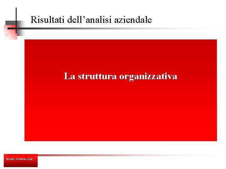 Risultati dell’analisi aziendale La struttura organizzativa Studio Andrea Lodi 