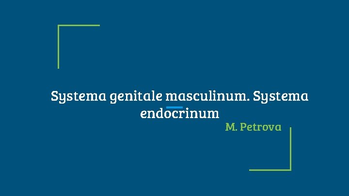 Systema genitale masculinum. Systema endocrinum M. Petrova 