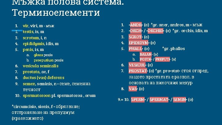 Мъжка полова система. Терминоелементи 1. 2. 3. 4. 5. vir, viri, m - мъж