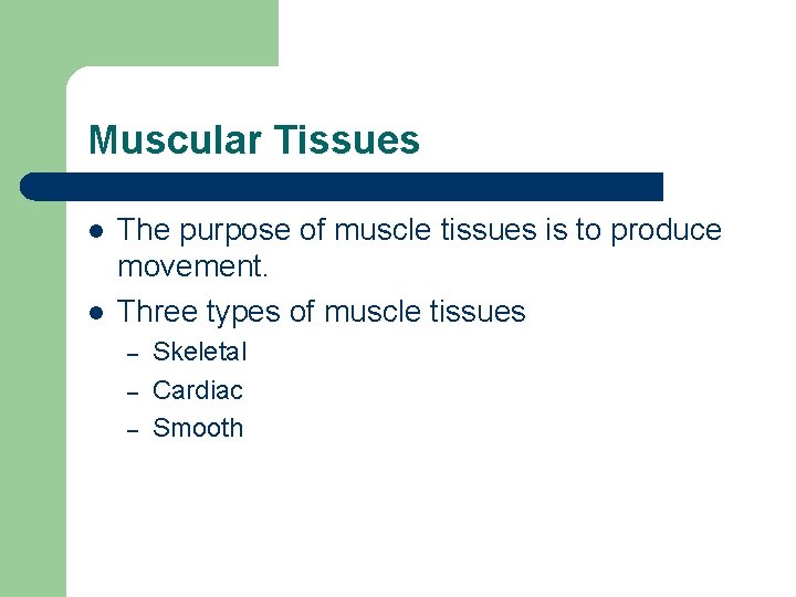 Muscular Tissues l l The purpose of muscle tissues is to produce movement. Three