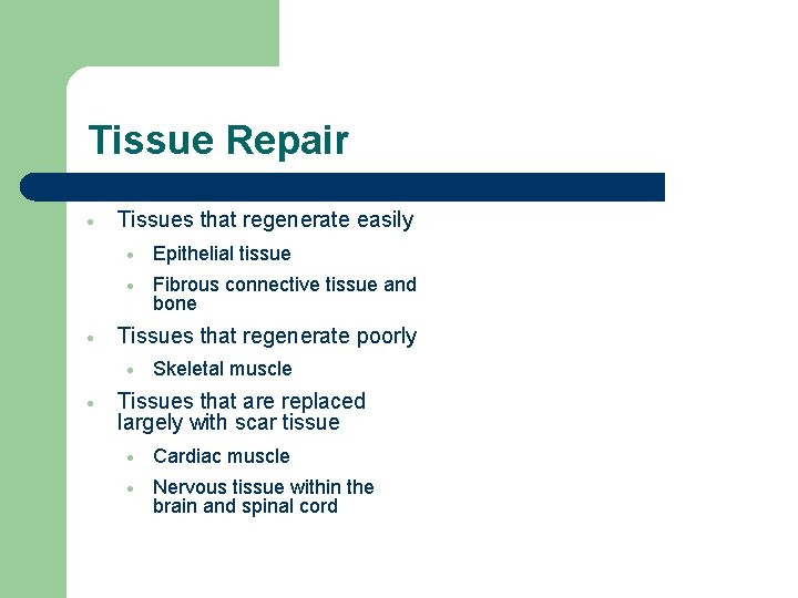 Tissue Repair · · Tissues that regenerate easily · Epithelial tissue · Fibrous connective