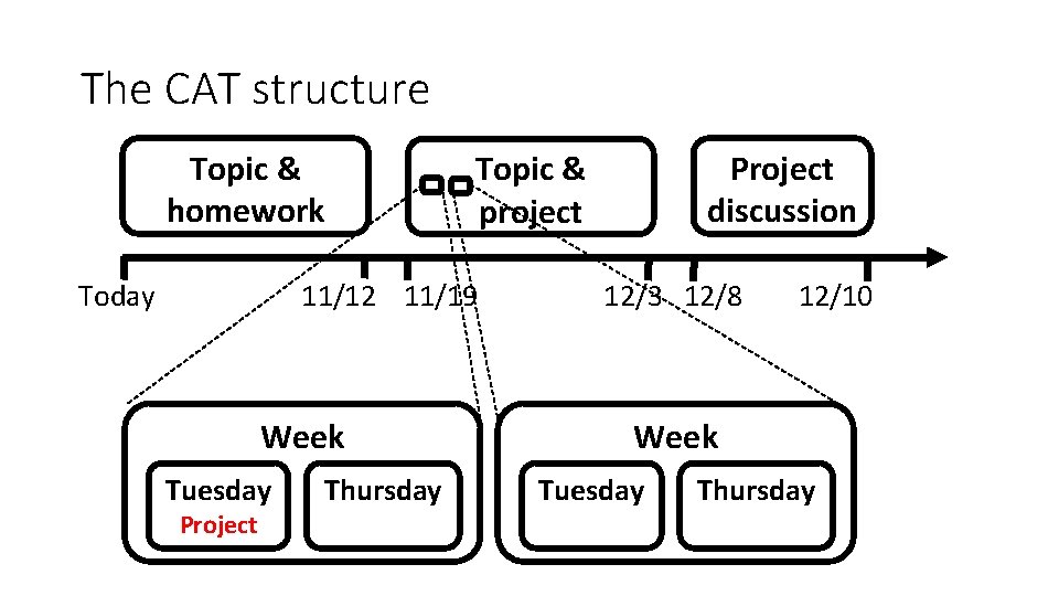 The CAT structure Topic & homework Today 11/12 11/19 Week Tuesday Project Thursday Project