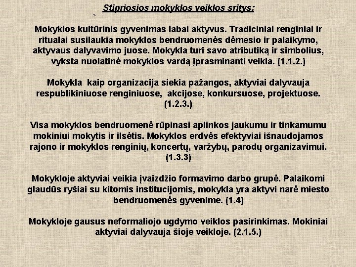 » Stipriosios mokyklos veiklos sritys: Mokyklos kultūrinis gyvenimas labai aktyvus. Tradiciniai renginiai ir ritualai