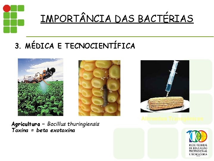 IMPORT NCIA DAS BACTÉRIAS 3. MÉDICA E TECNOCIENTÍFICA Agricultura – Bacillus thuringiensis Toxina =
