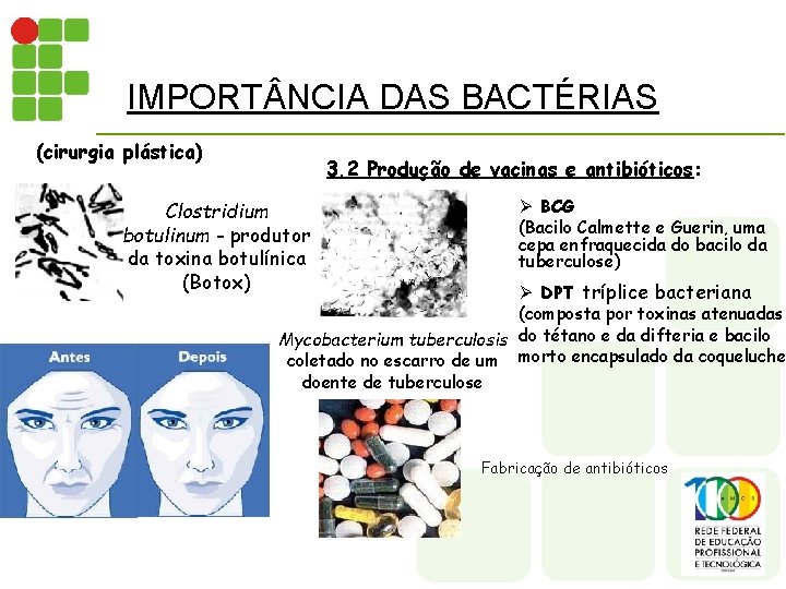 IMPORT NCIA DAS BACTÉRIAS (cirurgia plástica) 3. 2 Produção de vacinas e antibióticos: Clostridium