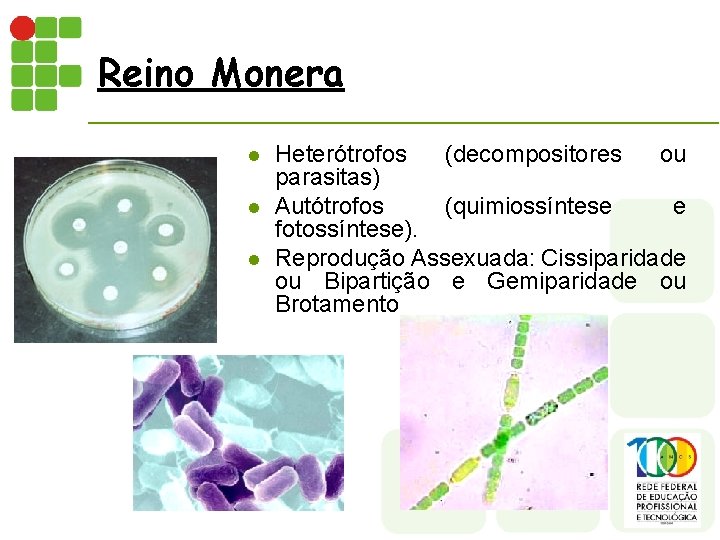 Reino Monera l l l Heterótrofos (decompositores ou parasitas) Autótrofos (quimiossíntese e fotossíntese). Reprodução