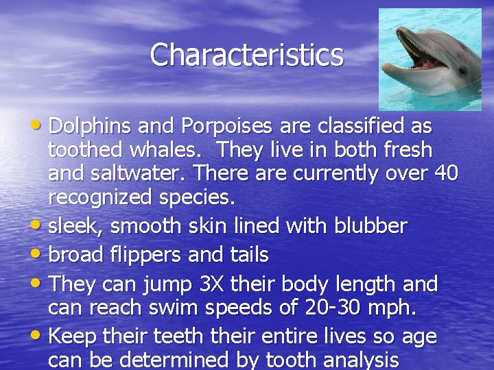 Characteristics • Dolphins and Porpoises are classified as toothed whales. They live in both