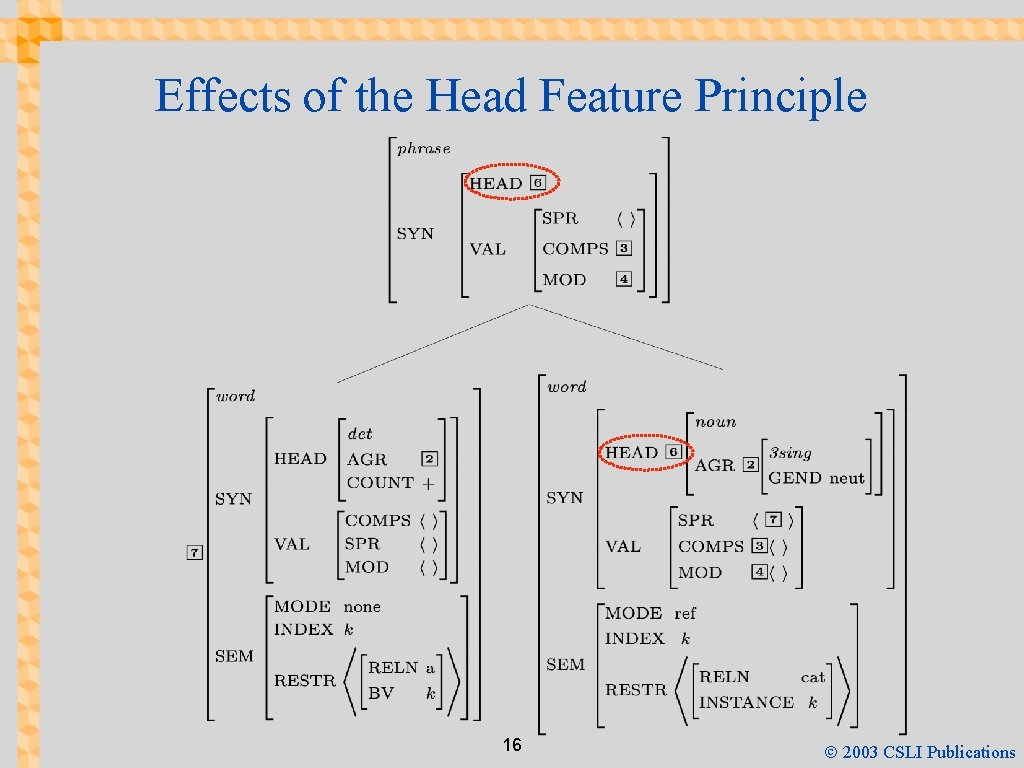 Effects of the Head Feature Principle 16 Ó 2003 CSLI Publications 