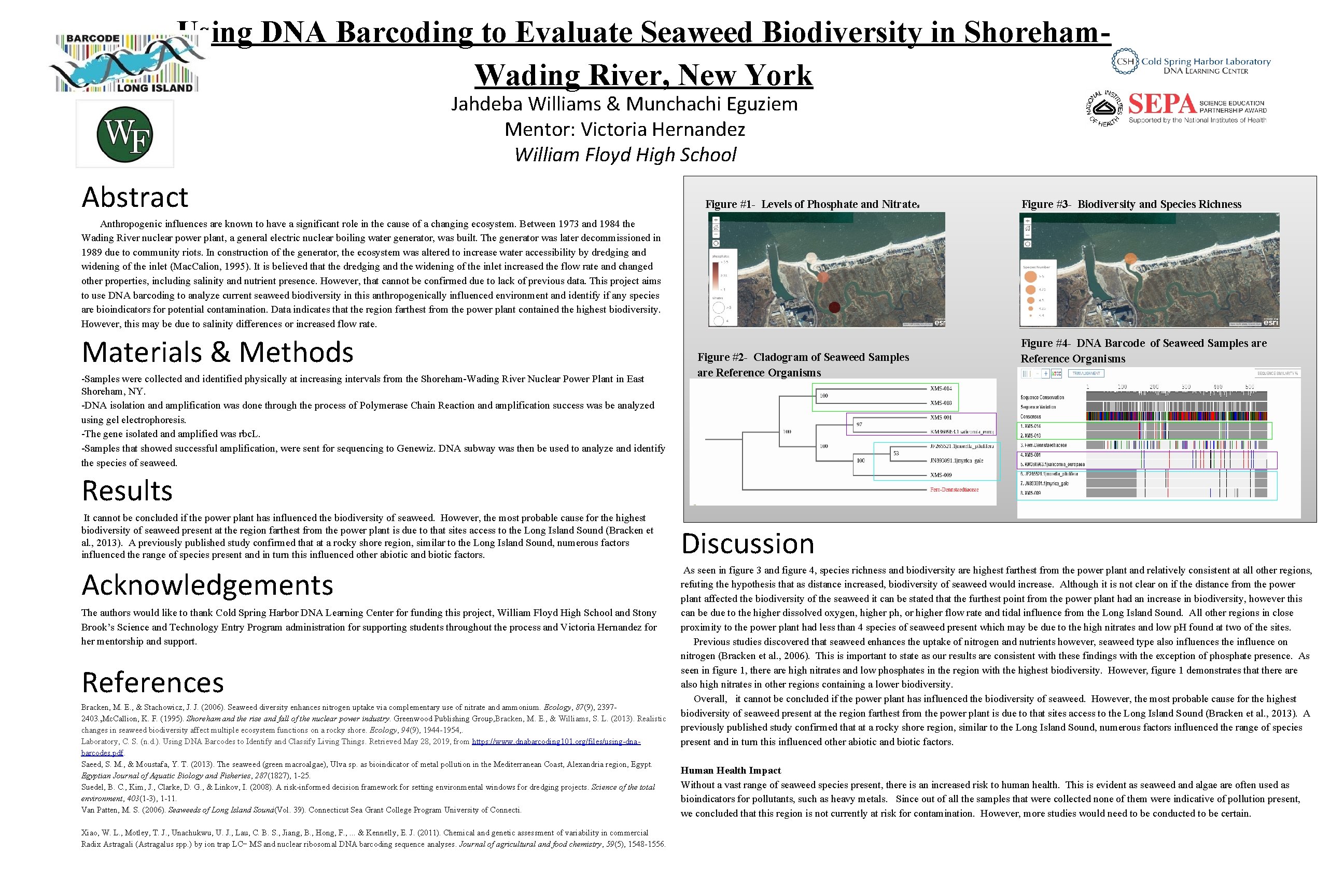 Using DNA Barcoding to Evaluate Seaweed Biodiversity in Shoreham. Wading River, New York Jahdeba