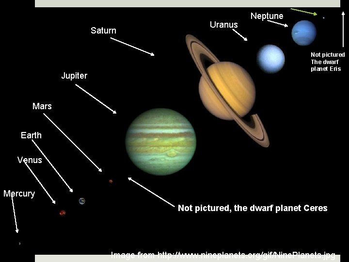 Saturn Jupiter Uranus Neptune Not pictured The dwarf planet Eris Mars Earth Venus Mercury