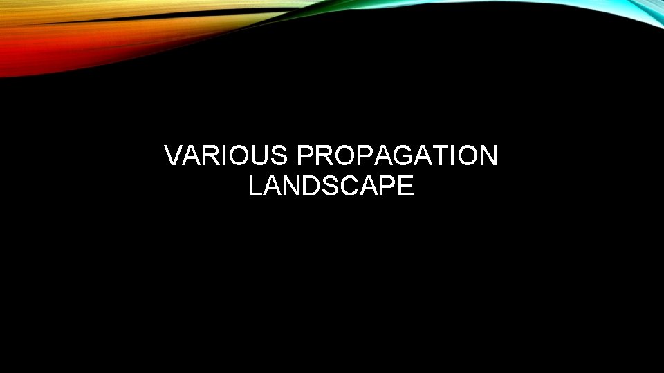 VARIOUS PROPAGATION LANDSCAPE 