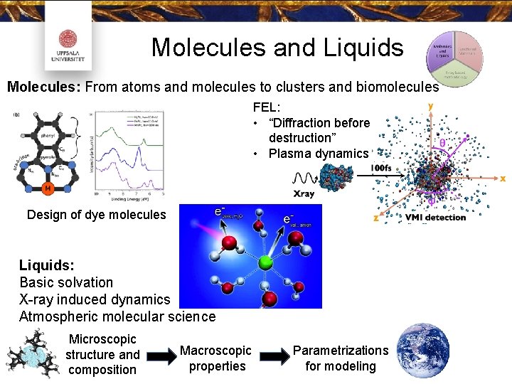 Molecules and Liquids Molecules: From atoms and molecules to clusters and biomolecules FEL: •