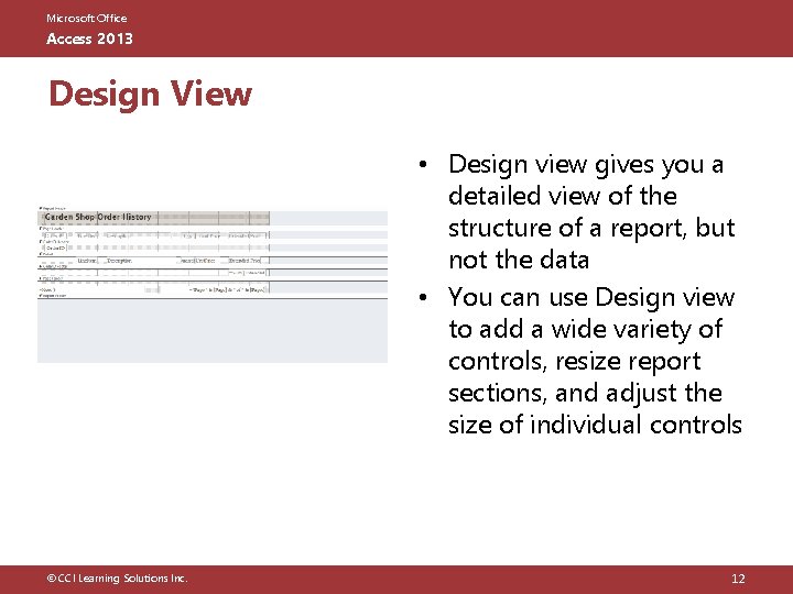 Microsoft Office Access 2013 Design View • Design view gives you a detailed view