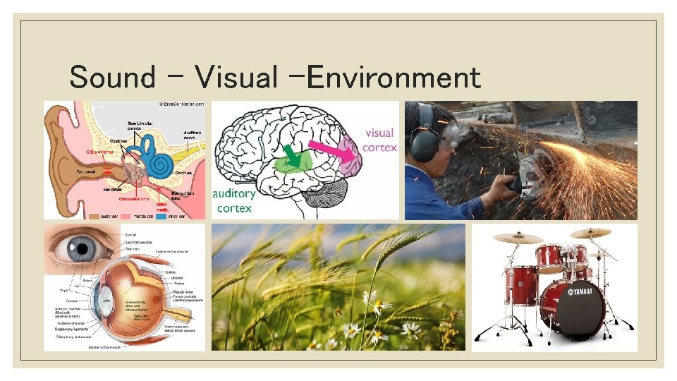 EXPERIENCING VISUALIZATION OF SOUND ON THE SURROUNDING ENVIRONMENT
