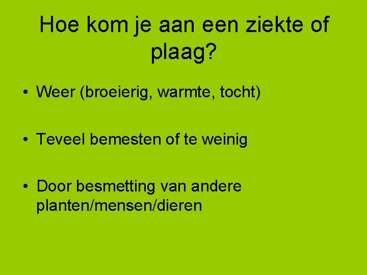 Hoe kom je aan een ziekte of plaag? • Weer (broeierig, warmte, tocht) •