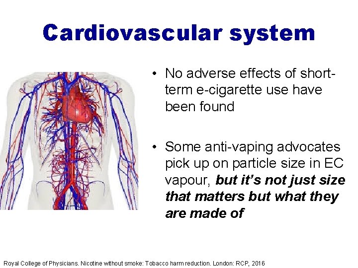 Cardiovascular system • No adverse effects of shortterm e-cigarette use have been found •