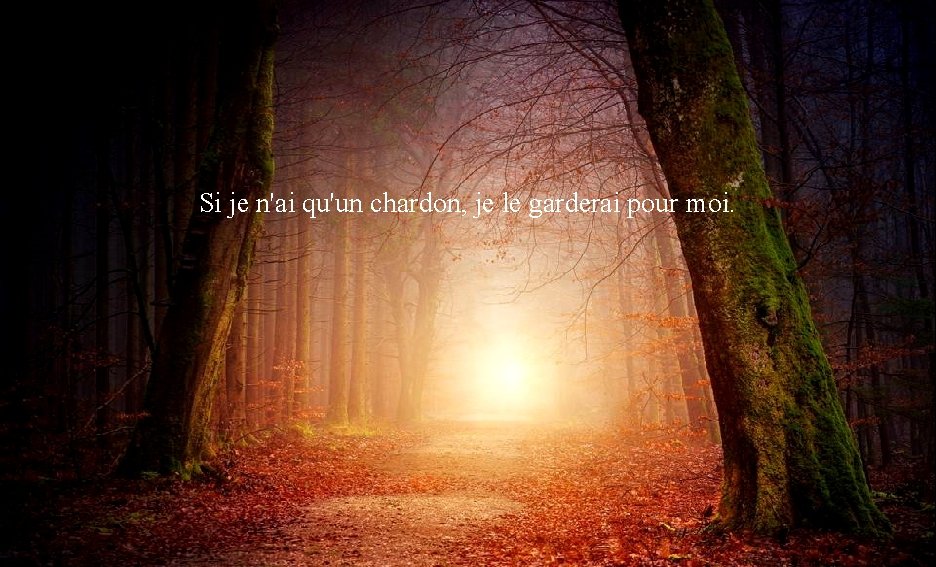 Si je n'ai qu'une rose, je te la donnerai. Si je n'ai qu'un chardon,