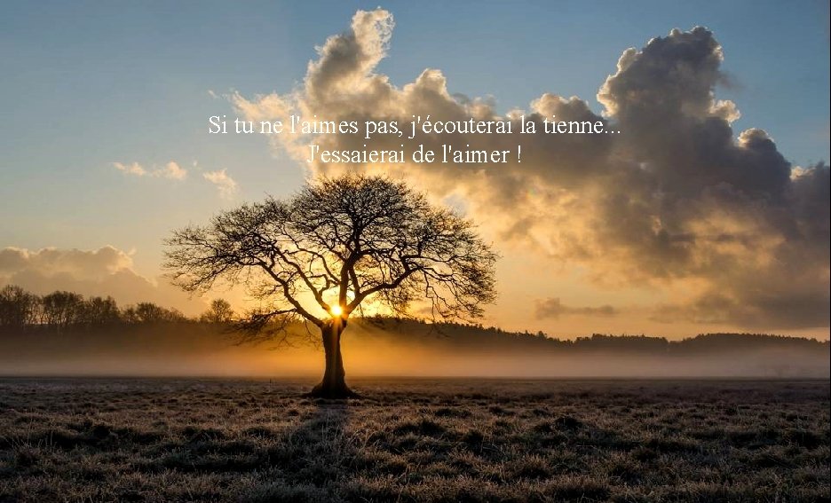 Je te ferai entendre la musique j'aime. Si tu ne l'aimes pas, j'écouterai la