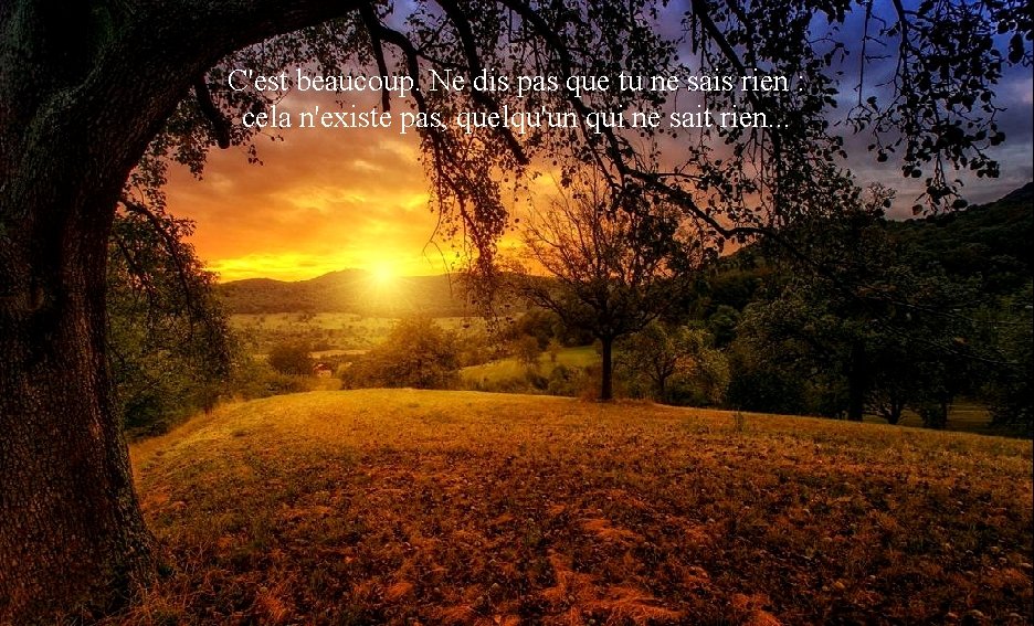 C'est beaucoup. Ne dis pas que tu ne sais rien : cela n'existe pas,