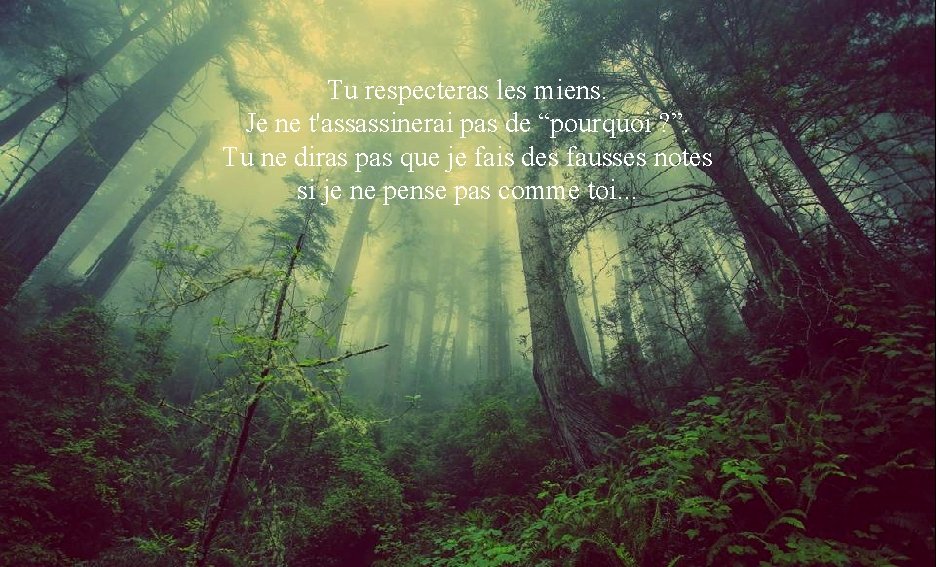 Tu respecteras les miens. Je ne. Tu t'assassinerai pascedeque “pourquoi es toi. Je suis