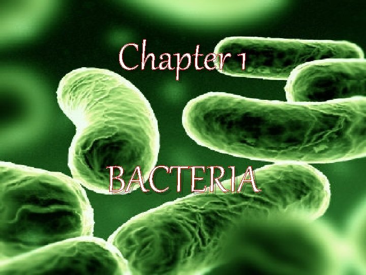 Chapter 1 BACTERIA 