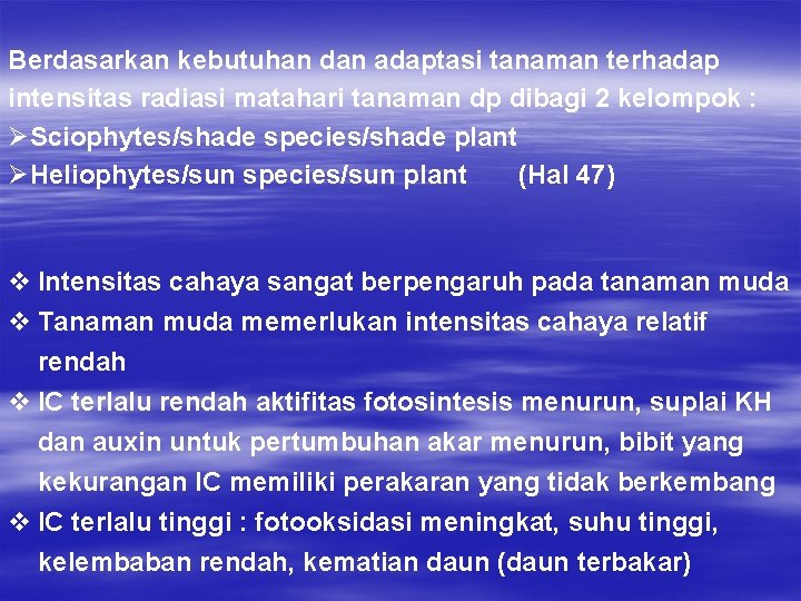 Berdasarkan kebutuhan dan adaptasi tanaman terhadap intensitas radiasi matahari tanaman dp dibagi 2 kelompok