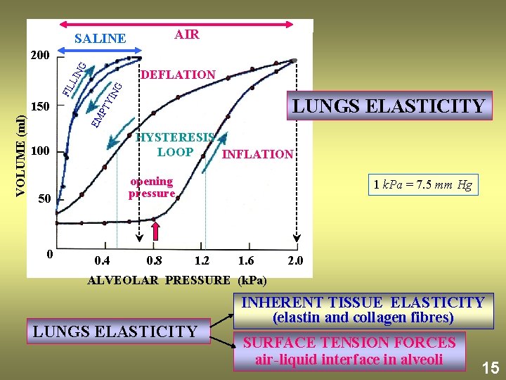 AIR SALINE G 200 NG LUNGS ELASTICITY EM VOLUME (ml) 150 PT YI FIL