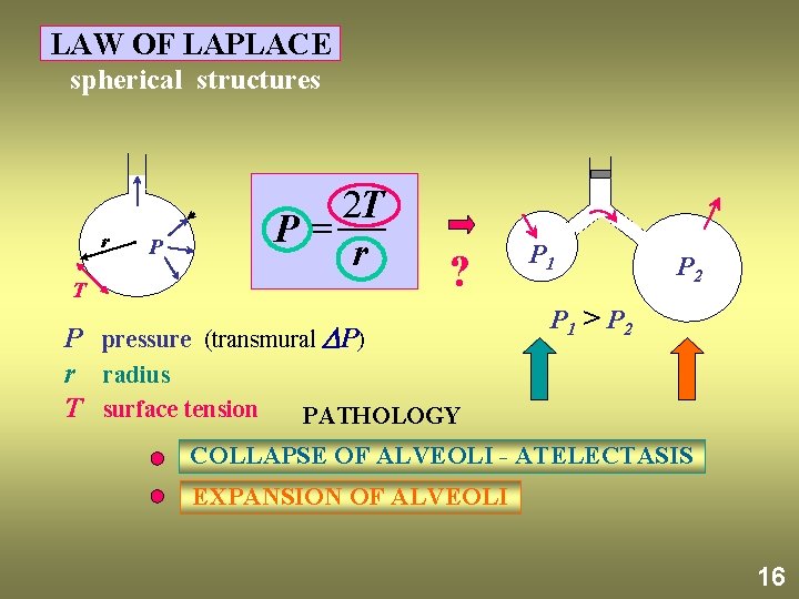 LAW OF LAPLACE spherical structures r T P 2 T P= r ? P