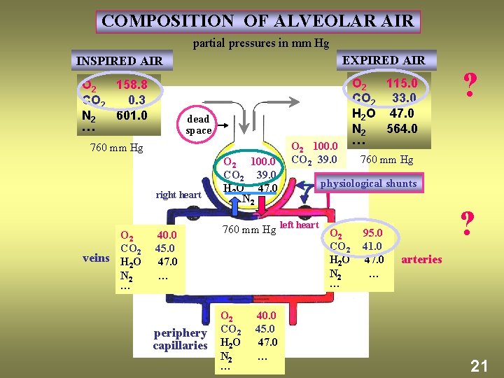 COMPOSITION OF ALVEOLAR AIR partial pressures in mm Hg EXPIRED AIR INSPIRED AIR O