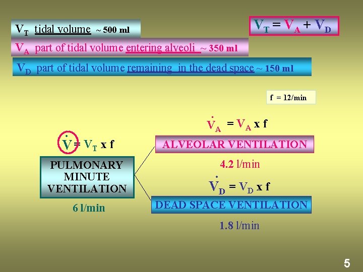 VT tidal volume VT = VA + VD ~ 500 ml VA part of