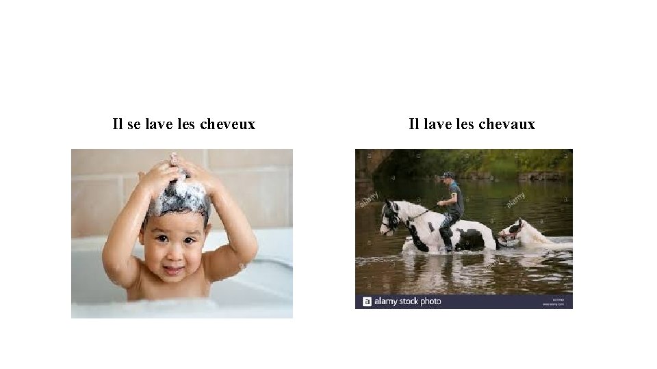 Il se lave les cheveux Il lave les chevaux 