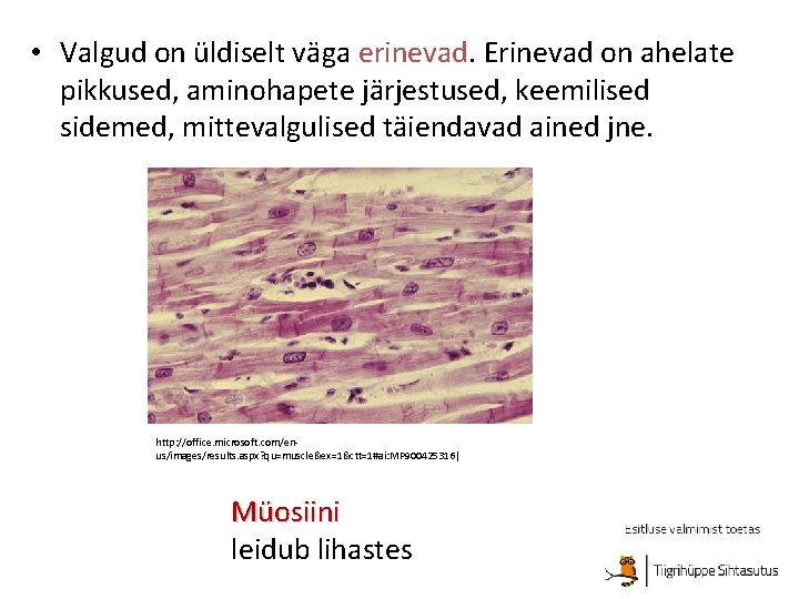  • Valgud on üldiselt väga erinevad. Erinevad on ahelate pikkused, aminohapete järjestused, keemilised