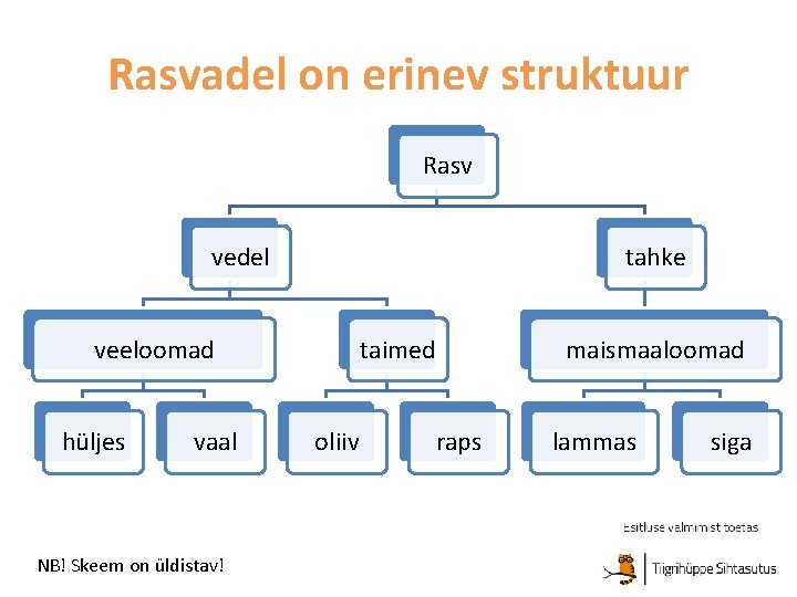 Rasvadel on erinev struktuur Rasv vedel tahke veeloomad hüljes vaal NB! Skeem on üldistav!