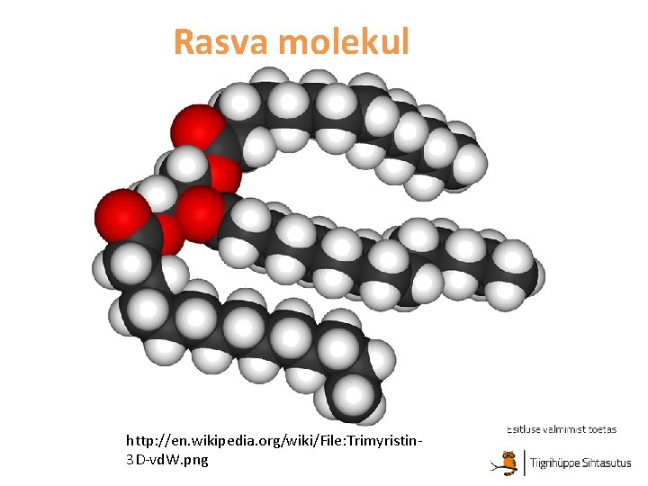 Rasva molekul http: //en. wikipedia. org/wiki/File: Trimyristin 3 D-vd. W. png 