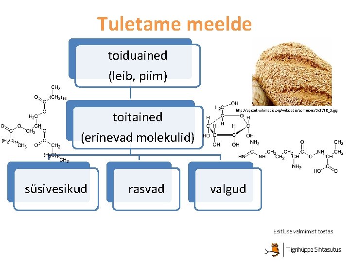 Tuletame meelde toiduained (leib, piim) toitained http: //upload. wikimedia. org/wikipedia/commons/1/1 f/FD_1. jpg (erinevad molekulid)