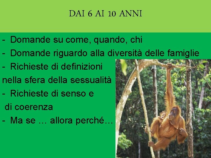 DAI 6 AI 10 ANNI - Domande su come, quando, chi - Domande riguardo