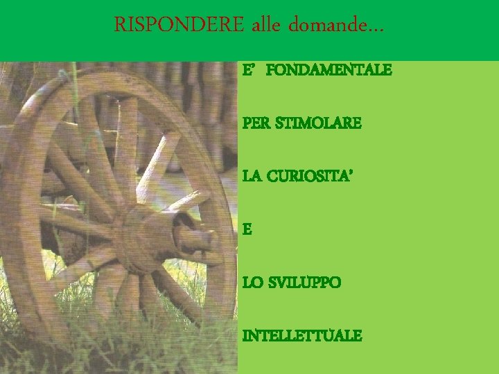 RISPONDERE alle domande… E’ FONDAMENTALE PER STIMOLARE LA CURIOSITA’ E LO SVILUPPO INTELLETTUALE 