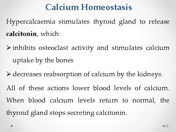 Calcium Homeostasis Hypercalcaemia stimulates thyroid gland to release calcitonin, which: Ø inhibits osteoclast activity